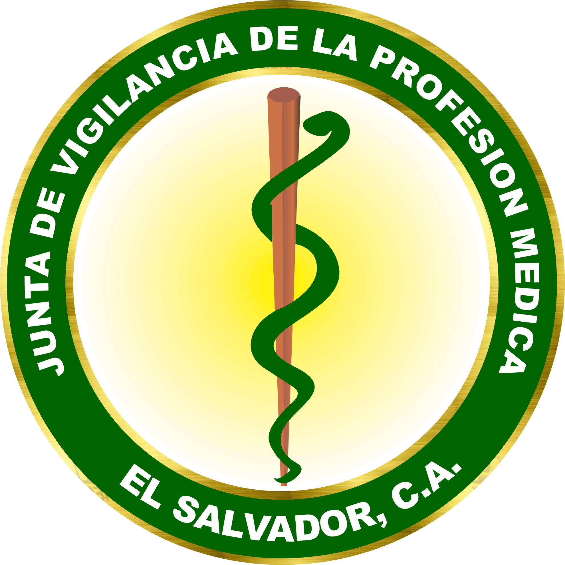 Logo Medica2